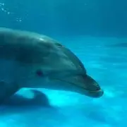 ピース☆