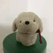 makipaoの画像