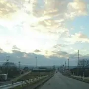 lastinglandscape