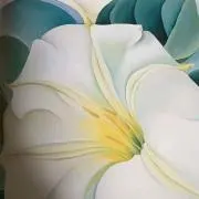 greenの画像