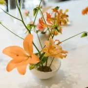 こた(断捨離中)の画像