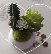 多数セール中⭐わか⭐の画像