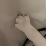 Kの画像
