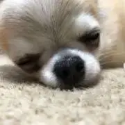 take