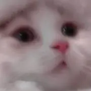 ゆめ