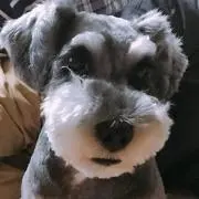 タッキー