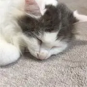 みい