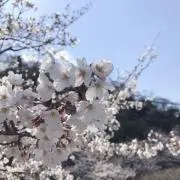 ゆ〜の画像