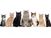 きのこ♪プロフ見て下さい♪