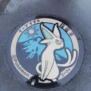 めたもん