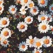 bitnaの画像