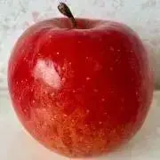 RINGOの画像