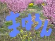 まはろんの画像
