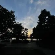カッシー