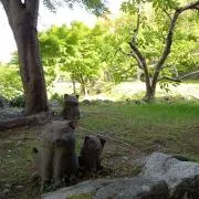 ぺぺしの画像