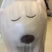 よねえもん