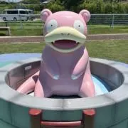 ぺこの画像
