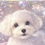 ゆゆ♡ゆゆの画像