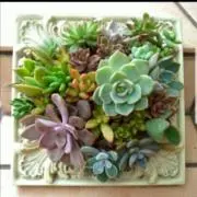花：リクエスト・速達承りますの画像