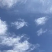 ７／７(火)発送の画像