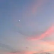 みかんの画像