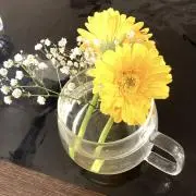 幸❁⃘*.゜の画像