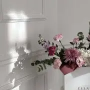 yの画像