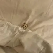 すの画像