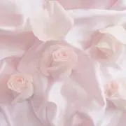 トマトの画像