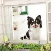 UDON好き