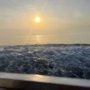 釣り好きの画像