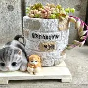 rieの画像