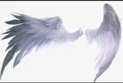Icarus