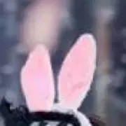 からあげくんの画像