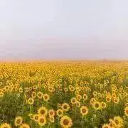 ち*プロフ読んでくださいの画像