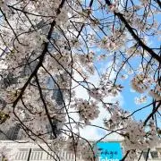 ここ