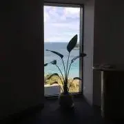 ティナの画像