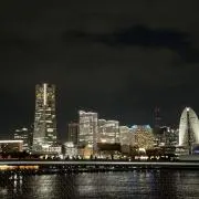 たつき