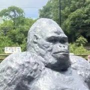かじさんの画像
