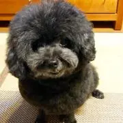 ねろ。