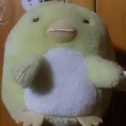 ゆゆ⭐土日祝は配送不可