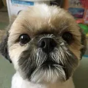 くーやん