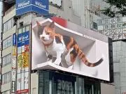 名乗るほどの者ではの画像