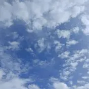 nicoの画像