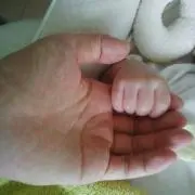 カモミールの画像