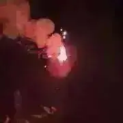 なめこの画像