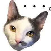 ワイバーン