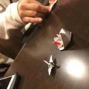 ろこもこの画像