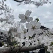 Ritaの画像