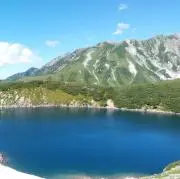 ショウの画像